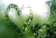 天涯社区，你认识吗？这是咱们这些老网民心中的一方理塘啊！说起和它类似的社区，老铁们可多了！现在好些网站都有这种天涯味儿～