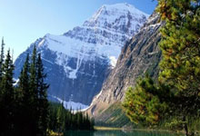 天涯论坛也可以云就业了？死守'铁饭碗'还是加入天涯职场社区的自由人？