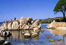 天涯社区：国际观察的热门平台